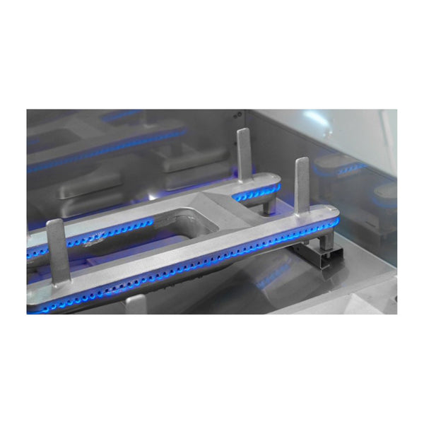 Fire Magic Aurora A660s 30-Inch Propane Gas Freestanding Grill w/ Backburner, Rotisserie Kit and Analog Thermometer - A660S-8EAP-61