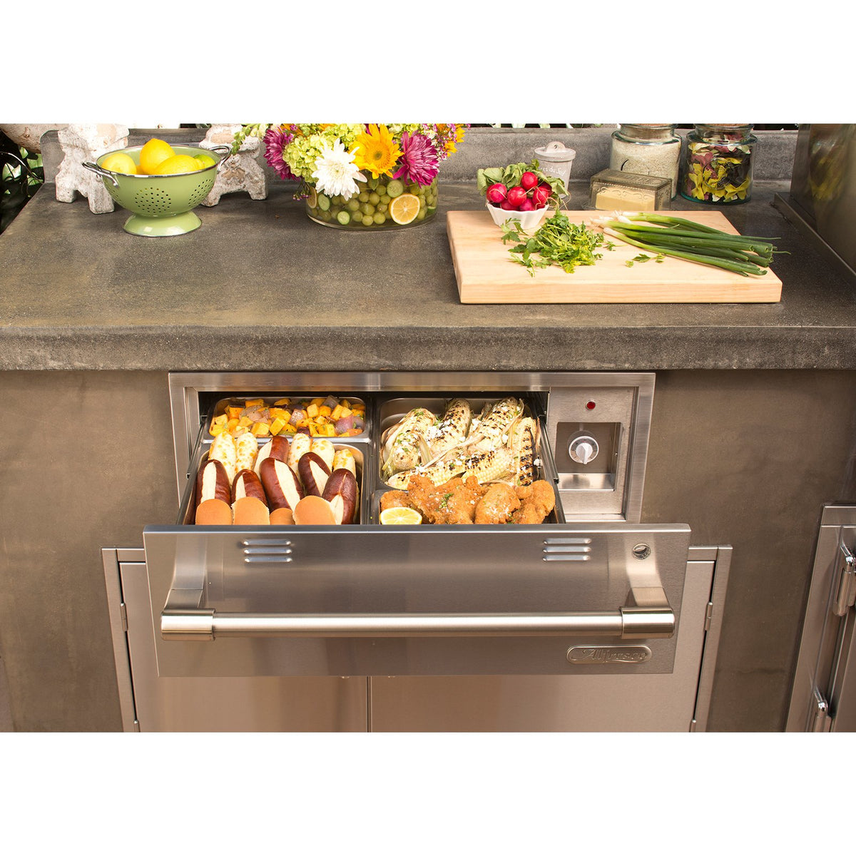 Alfresco 30-Inch Built-In Electric Warming Drawer (110 Vac Powered) -